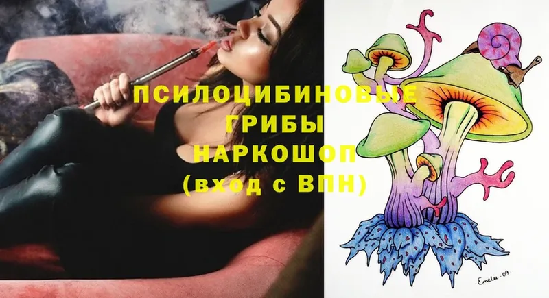 мега как зайти  Боровск  Галлюциногенные грибы Magic Shrooms 